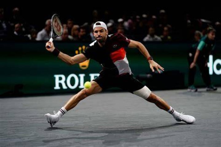 Grigor Dimitrov photo